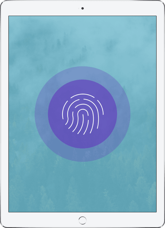 Biometrics Authentication